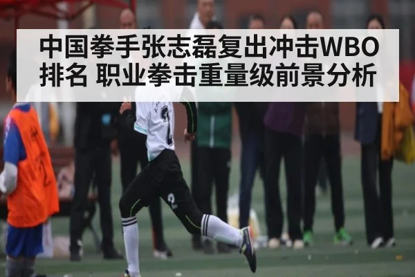 中国拳手张志磊复出冲击WBO排名 职业拳击重量级前景分析