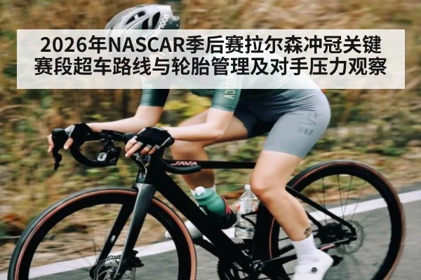 2026年NASCAR季后赛拉尔森冲冠关键赛段超车路线与轮胎管理及对手压力观察